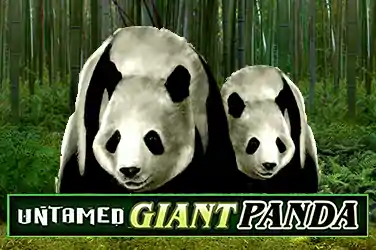 UNTAMED GIANT PANDA?v=6.0
