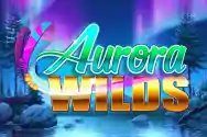 AURORA WILDS?v=6.0